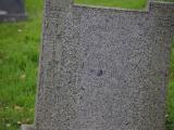 image of grave number 899418